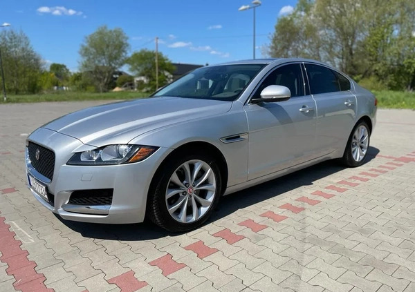 Jaguar XF cena 89000 przebieg: 93000, rok produkcji 2018 z Lubartów małe 781